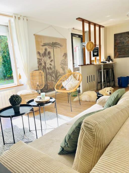 Le Cottage Breton, Hypercentre Historique Stb Saint-Brieuc Eksteriør billede