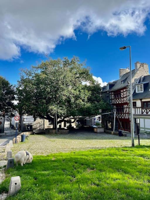 Le Cottage Breton, Hypercentre Historique Stb Saint-Brieuc Eksteriør billede